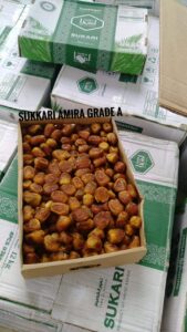 Jual Berbagai Aneka Kurma di Jember Murah & Berkualitas - RARATRAVEL.ID