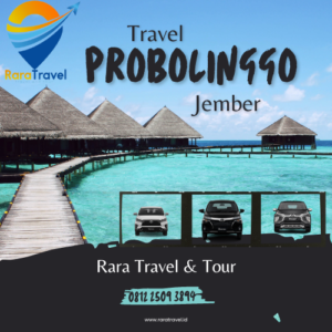 travel probolinggo jember