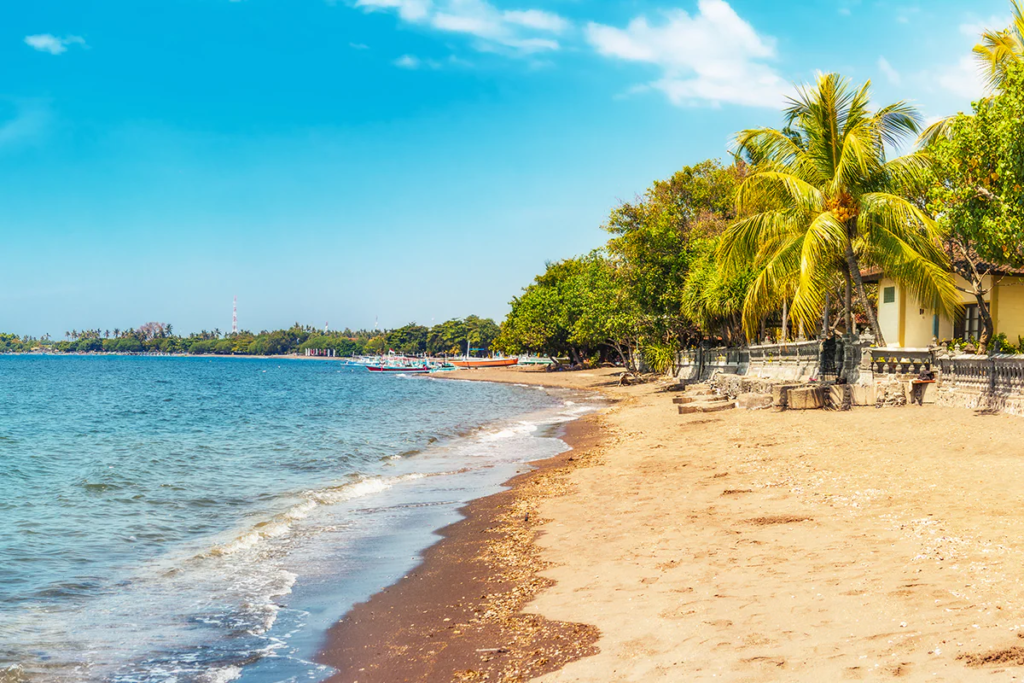 Keistimewaan Flora dan Fauna di Sekitar Pantai Lovina - RARATRAVEL.ID