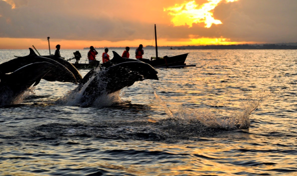 Galeri Foto: Menampilkan Pesona Pantai Lovina - RARATRAVEL.ID