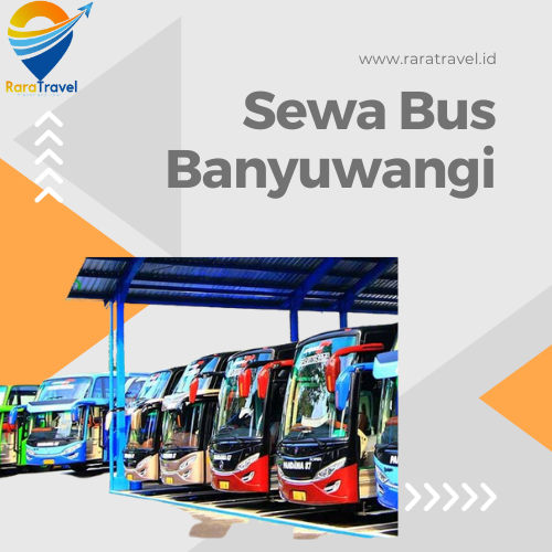 Sewa Bus Pariwisata Banyuwangi Murah Mulai Rp 600K Layanan 24 Jam - RARATRAVEL.ID