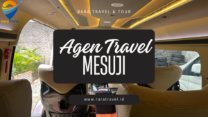 Agen Travel Mesuji Hiace Murah ke Berbagai Kota Jadwal dan Harga Murah Layanan 24 Jam - RARATRAVEL.ID