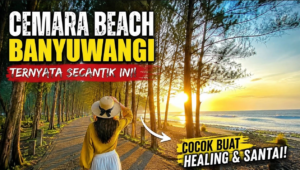 Tempat Wisata Pantai Cemara Banyuwangi Surganya Healing di Ujung Timur Pulau Jawa