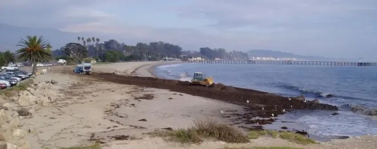 Experimental Beach Reconstruction-Renourishment on Mixed Sand and Gravel Beaches, Washdyke Lagoon, South Canterbury, New Zealand
