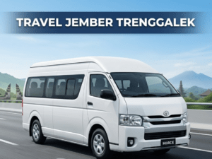 Travel Jember Trenggalek Terbaik 2026