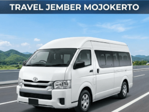 Travel Jember Mojokerto Layanan 24 Jam