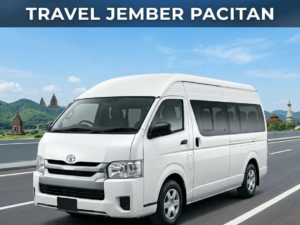 Travel Jember ke Pacitan Door to Door Nyaman, Aman & Tepat Waktu