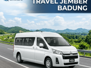 Travel Jember Badung Mangupura Bali