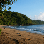 Pantai Bandealit: Panduan Lengkap Wisata, Harga Tiket, Rute, Aktivitas, Camping, hingga Tips Berkunjung
