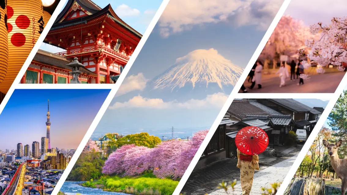 Japan Strengthens Travel Service Regulations to Improve Tourist Safety and Industry Transparency