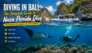 DIVING IN NUSA PENIDA
